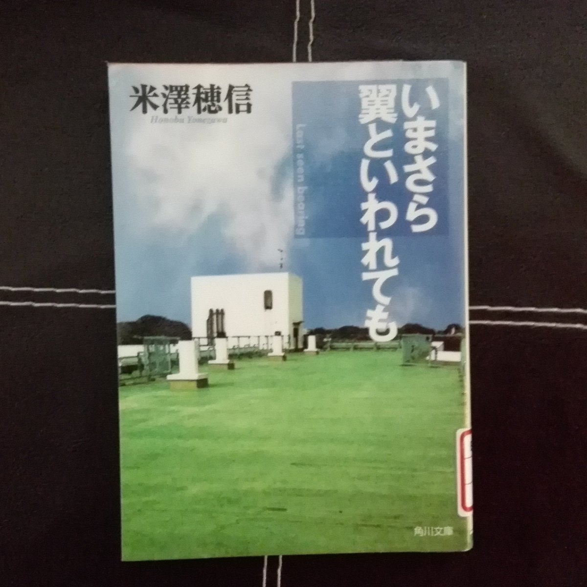 いまさら翼といわれても