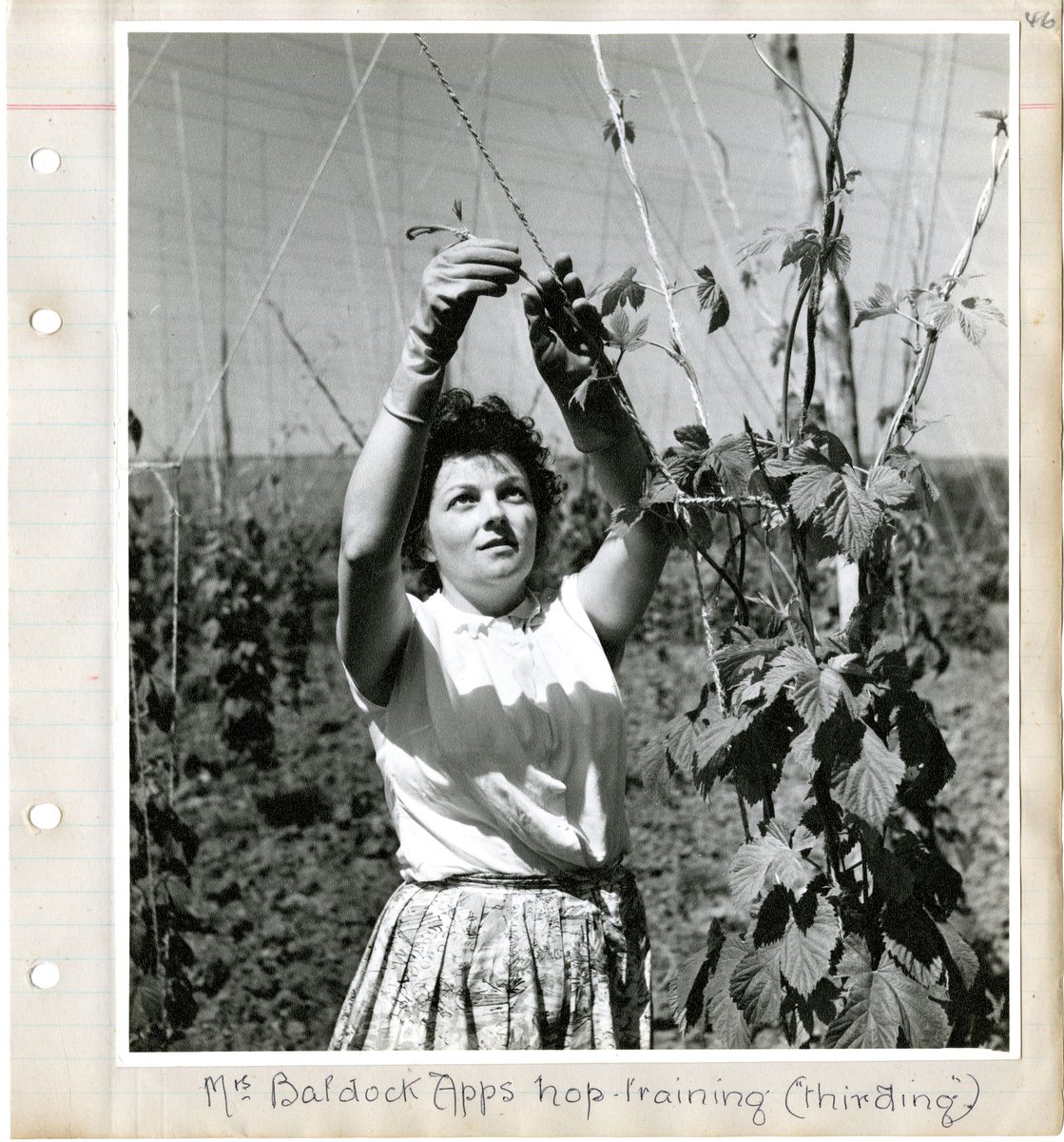 The Keep tweet media