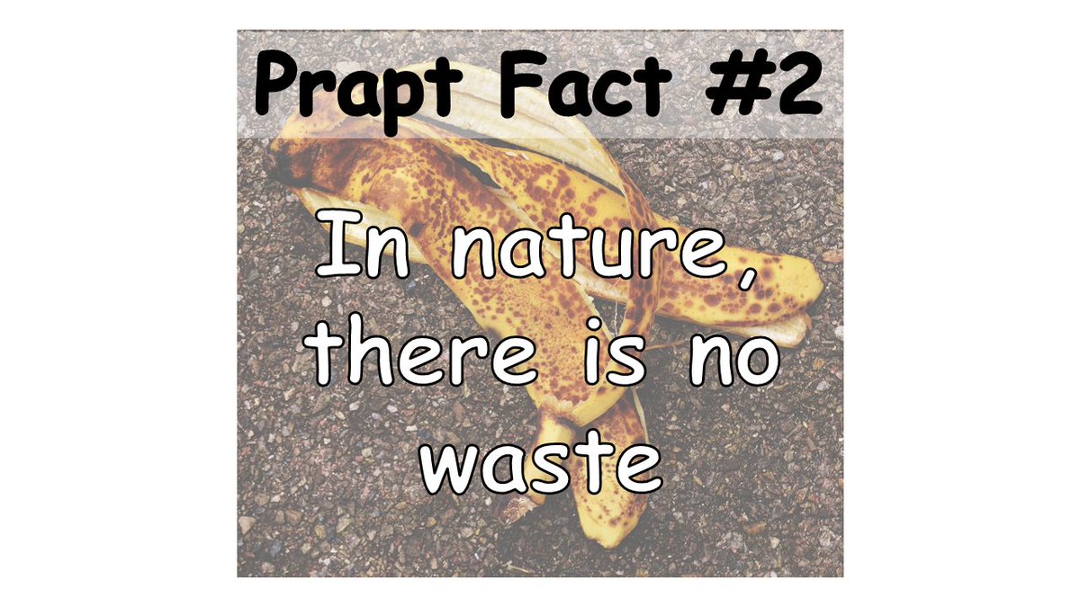 PraptOrganics's tweet image. #praptfact 2 Everything is part of a cycle in nature. Nothing goes to waste. They originate from the soil and return back to it, and go over the cycle all over again. Let's make use of our waste the natural way! #startcomposting your biodegradable waste today!