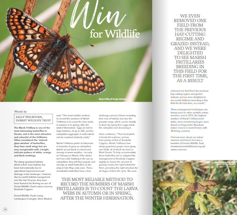 A win for wildlife. Find out more about the Marsh Fritillary with <a href="/DorsetWildlife/">Dorset Wildlife Trust</a>, in the latest issue of Just About Dorset.

en.calameo.com/read/004364226… #dorset #wildlife #butterfly