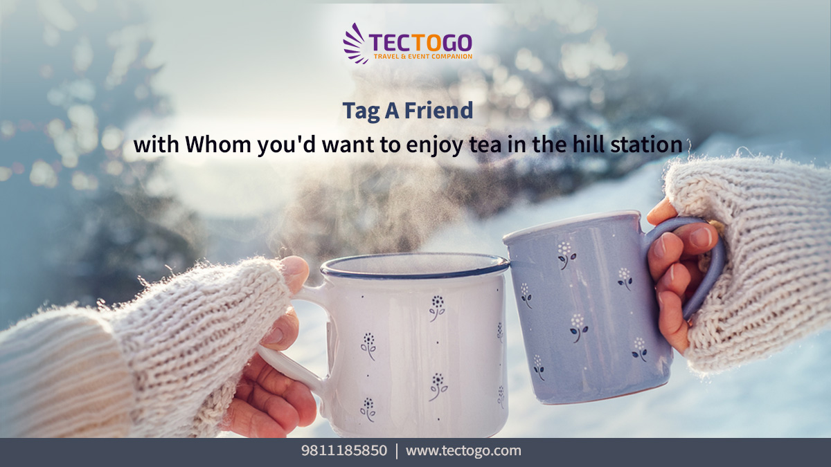 TectogoSolution's tweet photo. Tag a Friend with Whom you'd want to enjoy tea in the hill station
.
.
For more info, call us at +91-9899733033
.
.
#tectogo #travelwithtectogo #traveling #travelapp #tectogoapp #friendship #tagyourfriend #hillstation #tealovers #friendgoals #tealife https://t.co/RlqpvbMKJD