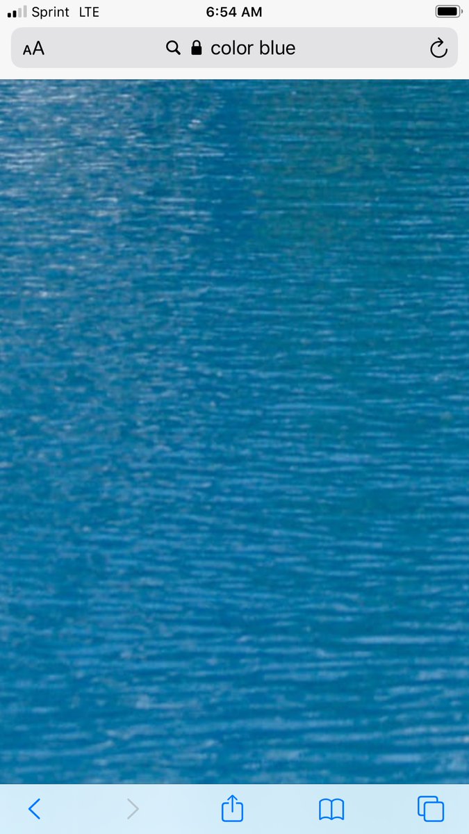 DorothyYoos tweet media