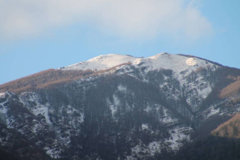 #vacanzeinliguria #ioviaggio
Imperdibile trekking panoramico alla scoperta del territorio più verde della Liguria, la Val di Vara. Info qui: c-way.it/biglietto/in-v…