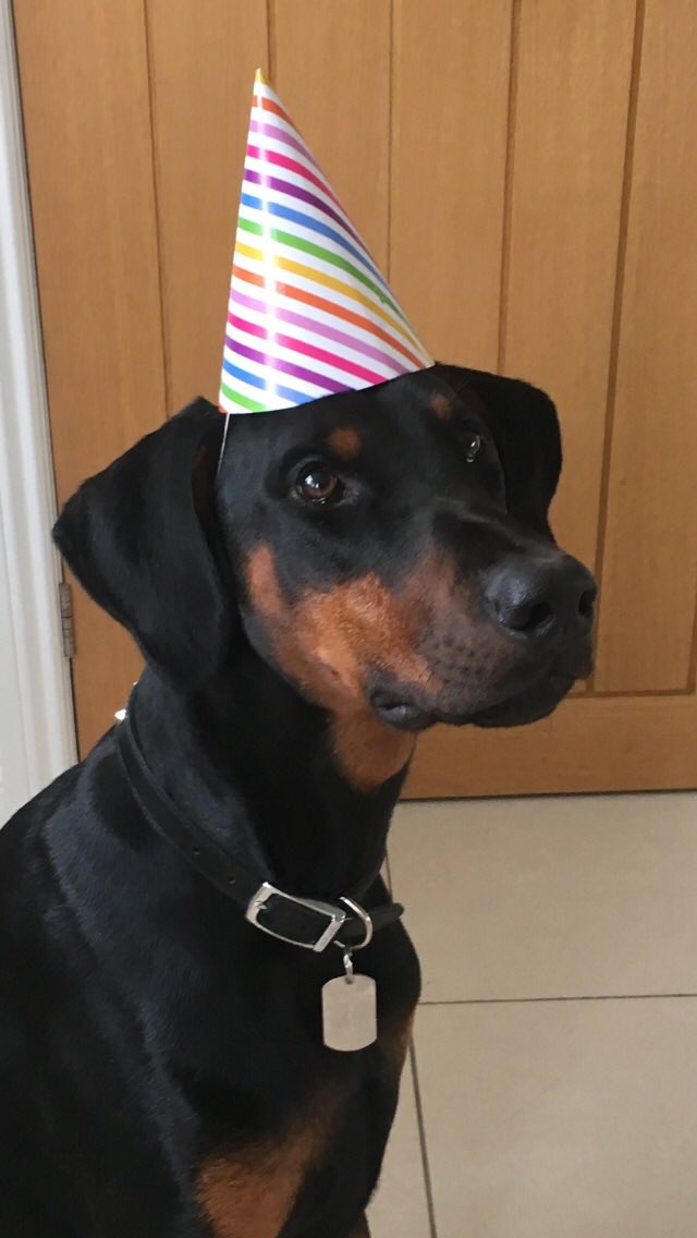 ickenhamscott's tweet photo. Happy Birthday to the Chief !!Kaiser 1 on 2nd March !! https://t.co/2NCvFeJG69