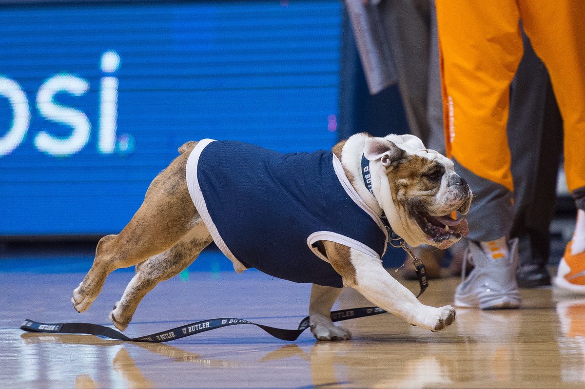 Butler Blue III tweet media