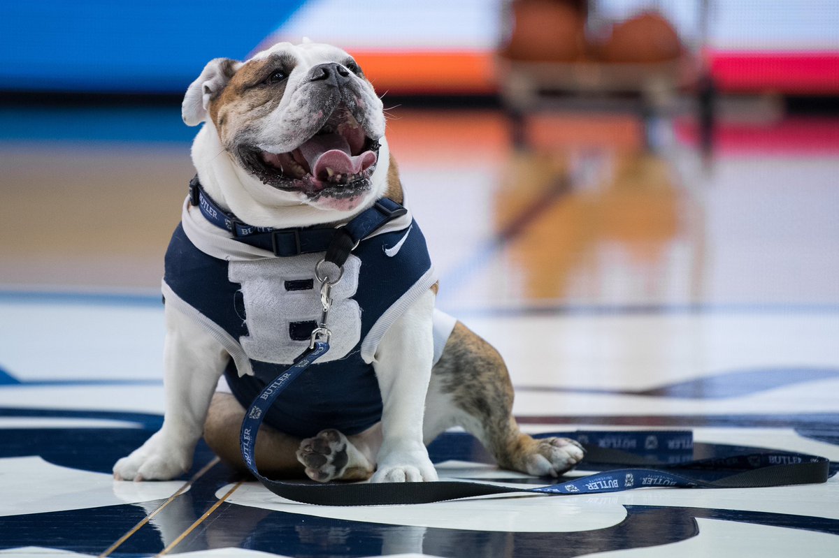 Butler Blue III tweet media