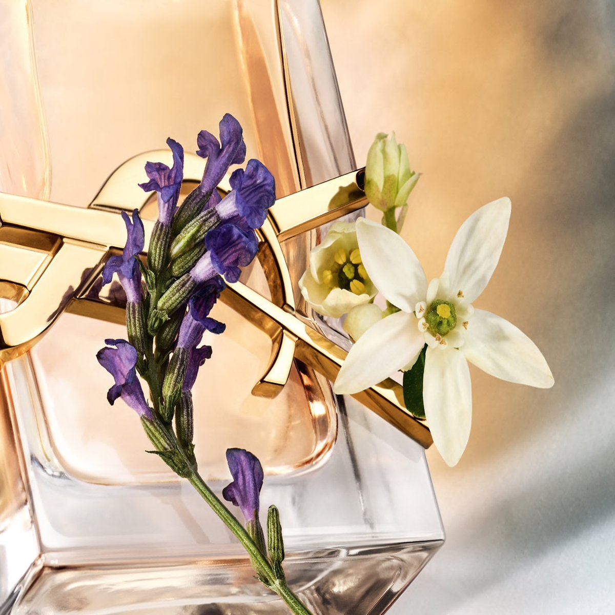 BlaqueLifeQuarterly tweet media