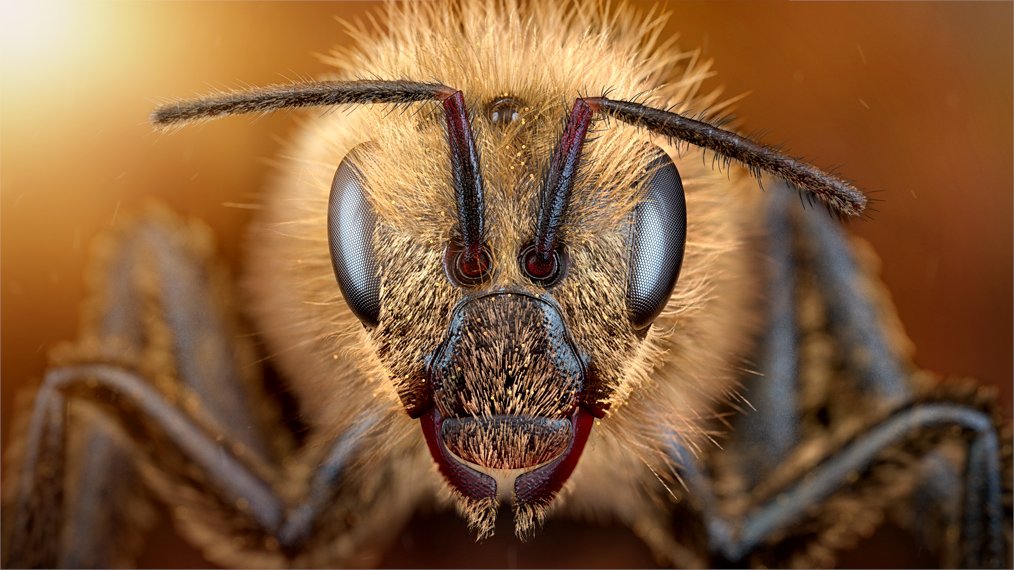 Konstantin Datz tweet media