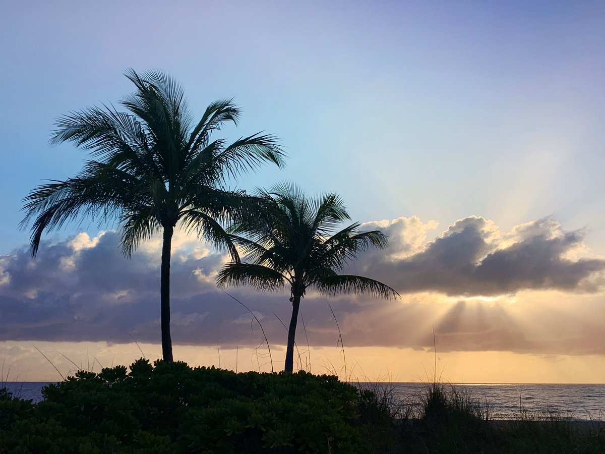 FtLauderdaleSun's tweet photo. Sweetheart sunrise. https://t.co/WOE5FYf6vf