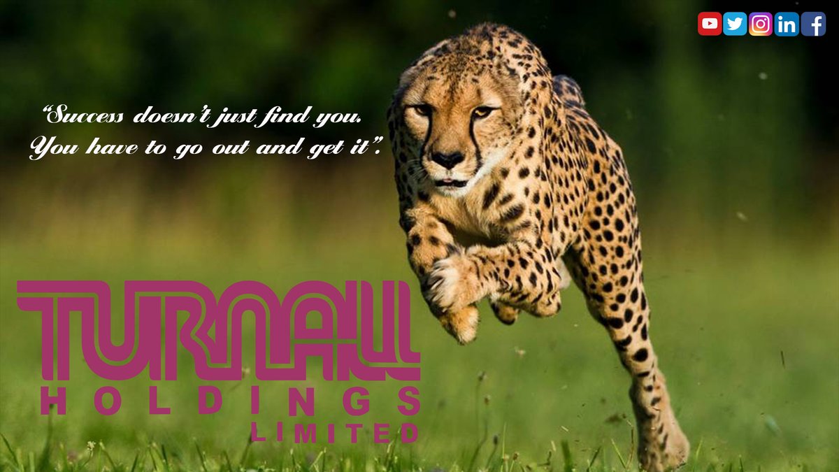 TurnallOfficial's tweet photo. "#Success doesn't just find you, you have to go out and get it..."
#SuccessQuotes
#WednesdayThoughts
#Turnall https://t.co/kYcskNIsYD