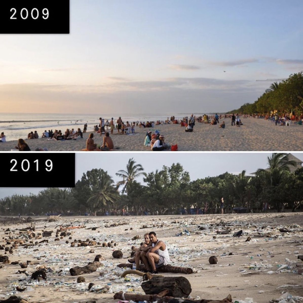 OCG | Saving The Ocean tweet media