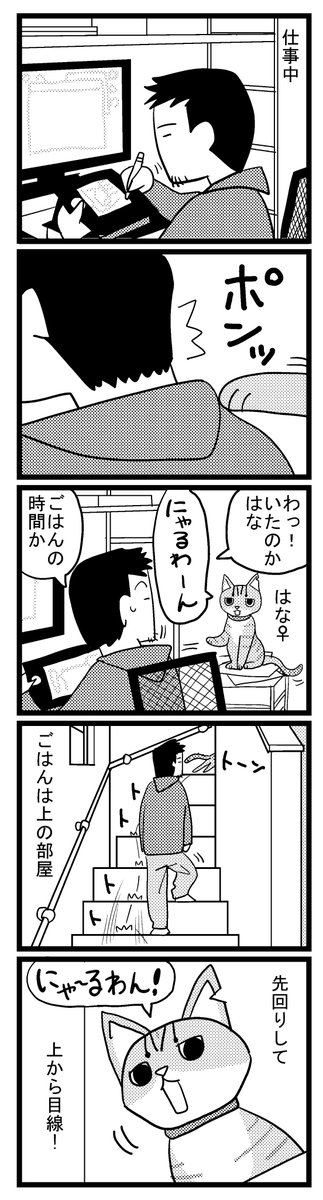 いつものはな 