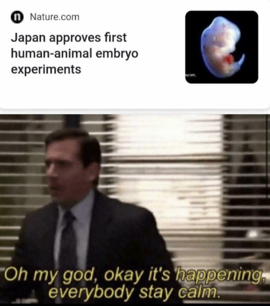 Télécharger gratuitement Images Dank Memes Bot On Twitter So Japan S Making Cat Girls Now actualisé par