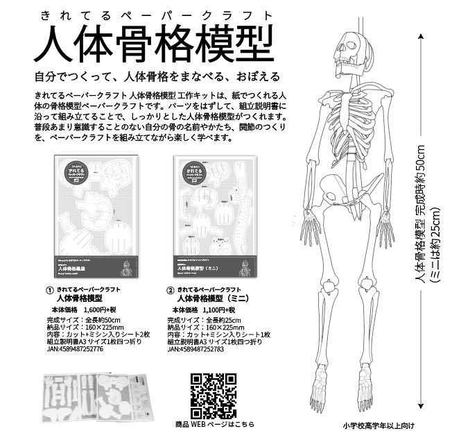 Honyaplan ホニャプラン 春休み 紙工作 フォロー Rtキャンペーン 第一弾 Honyaplan をフォロー この投稿をrtすると抽選で きれてるペーパークラフト 人体骨格模型ミニ を5名様にプレゼント 〆切は3 6 12 00 まで 手応えありますよー T