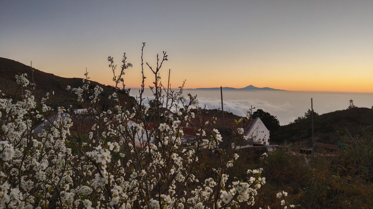 feluuko's tweet photo. Buenos días desde Tiñor (El Hierro) 
 Mar de nubes a 700 metros con vistas a La isla de la Gomera y Tenerife

@MeteoRTVC
@BDCanariasTV
@Tenerifelicidad
@TenerifeMeteo
@meteotenerife
@LoqueVeoTfe
@VisitHierro
@paisajecanario
@AEMET_Canarias https://t.co/hnl3kSMy7o