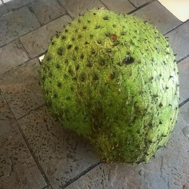jamesraukete's tweet photo. Kuru Papa‘ā | Jackfruit. I’ve only ver had this fresh. Apparently this can be cooked and used as a meat replacement. Does anyone have any recipes for Jackfruit? #jackfruit #truecooks #polyfeed https://t.co/6TGWp27I8p https://t.co/A9hASjb2nR