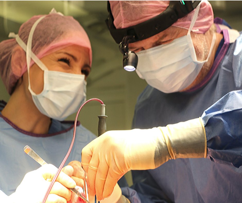 ValeReferrals's tweet image. Vale Referrals Spring CPD is here! Surgical Management of the Upper Respiratory Tract &amp;amp; Monitoring the high risk surgical patient (A nurse&apos;s approach) 
Book NOW bit.ly/2PL6JPg
#veterinary #veterinarian