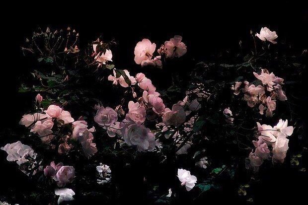crushthetic's tweet photo. ₍˚❁ᵎ Heejin Aesthetic Packs ᵎ❁˚ ₎ 

🌼╎retweet or fav if you save or use our edit • ありがとう. 

#heejinaesthetic #heejinlayout #heejinaestheticpacks #heejinpacks #jeonheejin #heejin_loona #loona_heejin #loona_aesthetic #loonatheworld https://t.co/3rh7qTNbM9