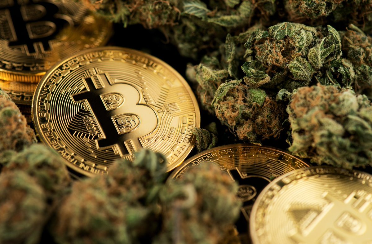 bitcoinagile's tweet photo. Relm Launches Insurance Coverage for Cryptocurrency and Cannabis Groups in Tough Regulatory Climate - #bitcoin News #Cryptocurrency #Climate #bahamas #Bermuda #BitcoinInsurance #cannabis #CannabisandBitcoin #CannabisIndustry #Relm https://t.co/tMi00IM7v3 https://t.co/CnGoVF7WS8