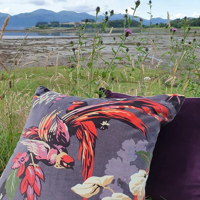 designarchives's tweet photo. Sumptuous, GRAND FLORAL Mulberry velvet - at home in any environment. 
#
#
#thedesignarchives #traditionwithatwist #archivaltextiles #printedvelvet #archive1woolandvelvetcollection #plainvelvet #operacollection#upholsteredwalls #walling #upholsteryandsof… https://t.co/iMtOTBDTuZ https://t.co/qhO6ybWeUK