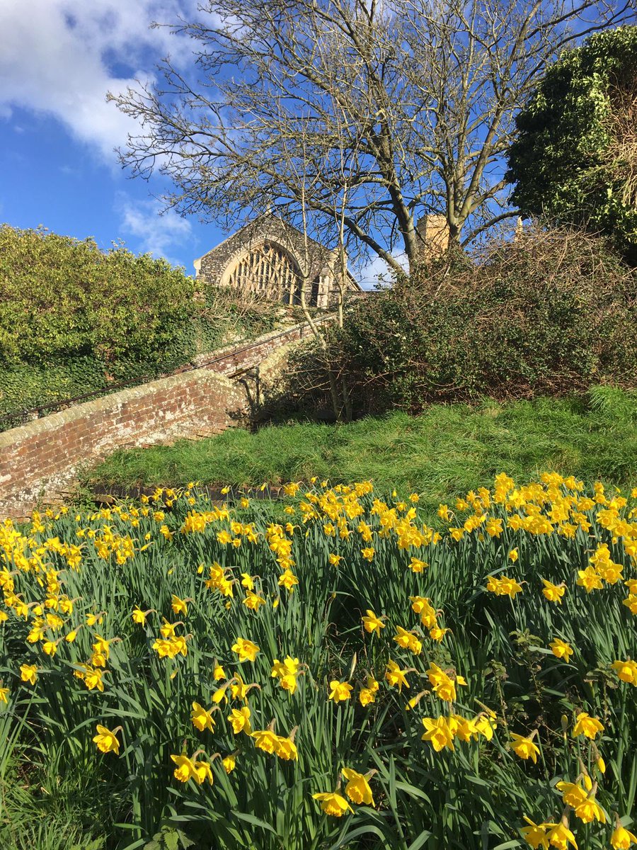 SuffolkCottHols's tweet photo. Our Marketing Manager Sally took this gorgeous shot of St Michaels' Church in #Beccles whilst out and about over the weekend ☀️ #Spring looks like it is just around the corner! #TrulyLocal #Suffolk #BlueSkies #Daffodils https://t.co/WdU8L30W9W