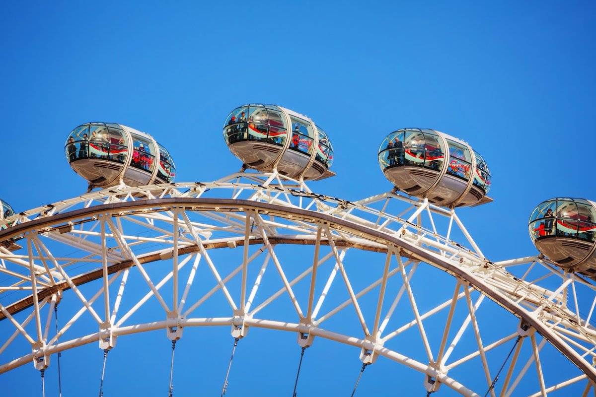 GowithOh tweet media