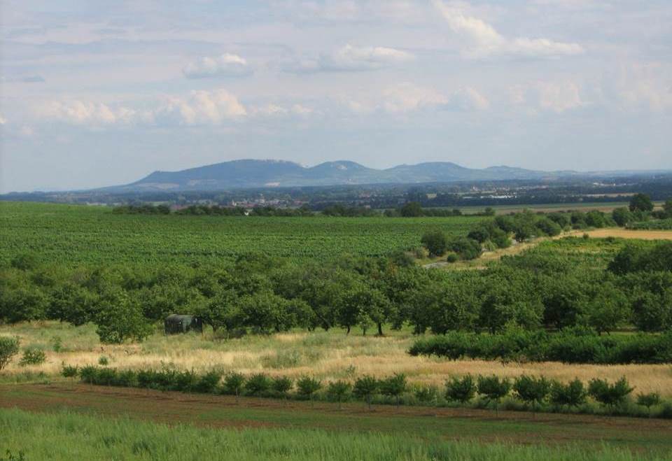 IPC-IOPC 2020 tweet media