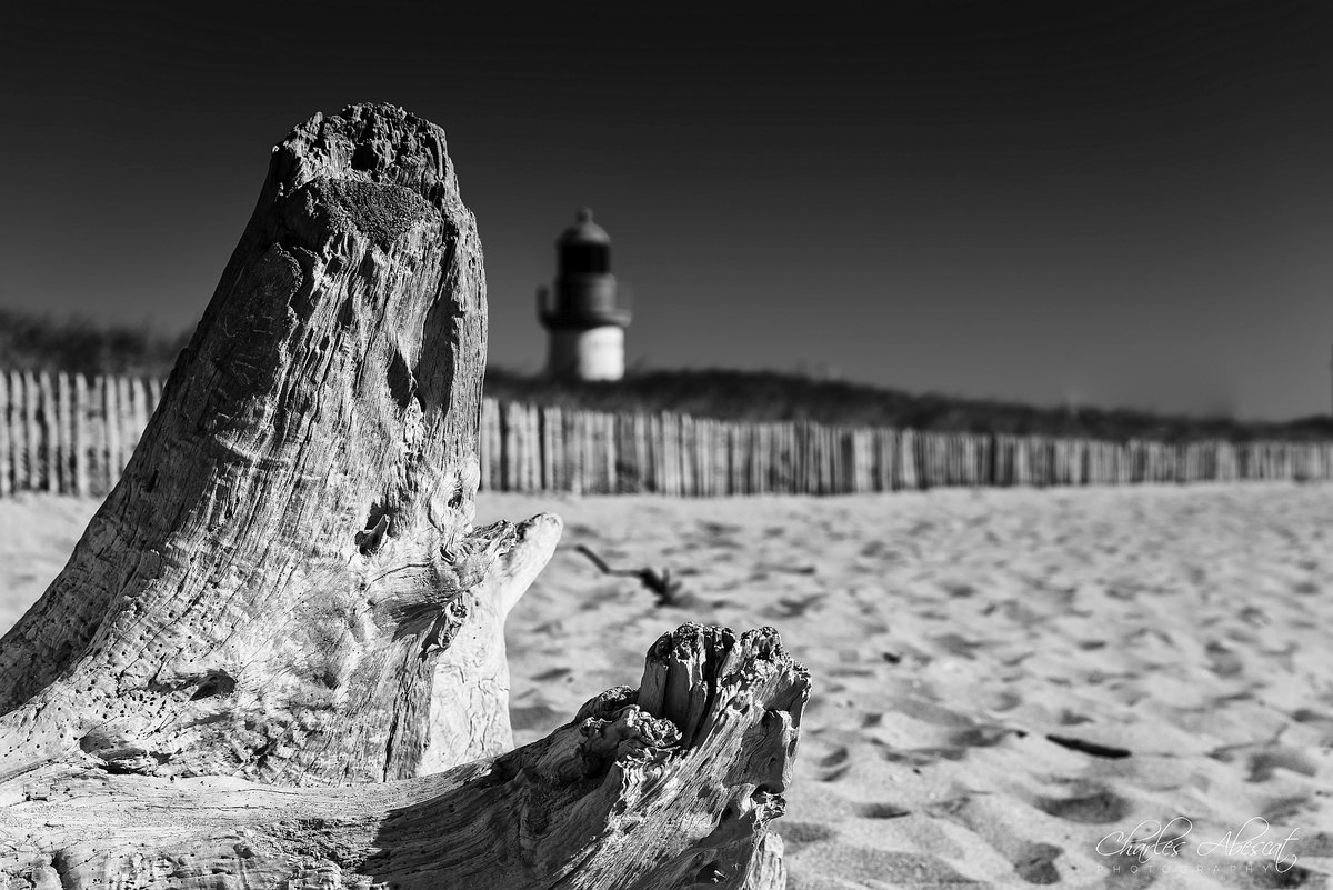 CAPhotographie's tweet photo. Phare de La Cotinère #photooftheday #photographie #photographyeveryday #photography #blackandwhitephotography #blackandwhite #fineartphotography #Lighthouse #phares #Oléron #isand https://t.co/2Hf82jyB9P
