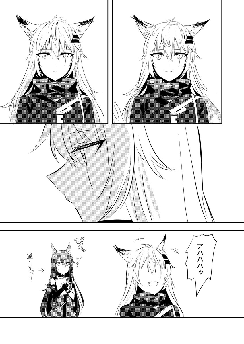 双狼 
