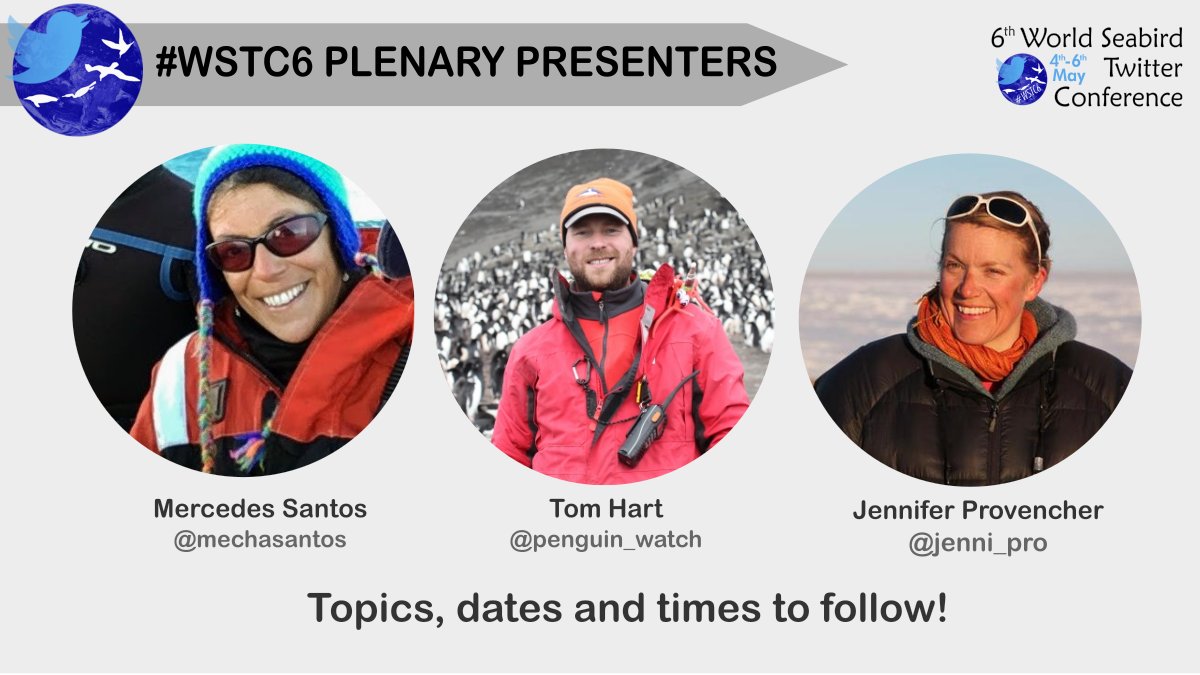 #WSTC6 promises to be a great #seabird conference with three amazing plenaries and many interesting sessions! 

Low-carbon, all-inclusive, truly international, and from the comfort & safety of your own sofa! 

Don't miss out, submit your abstract now! blackbawks.shinyapps.io/WSTC6/
