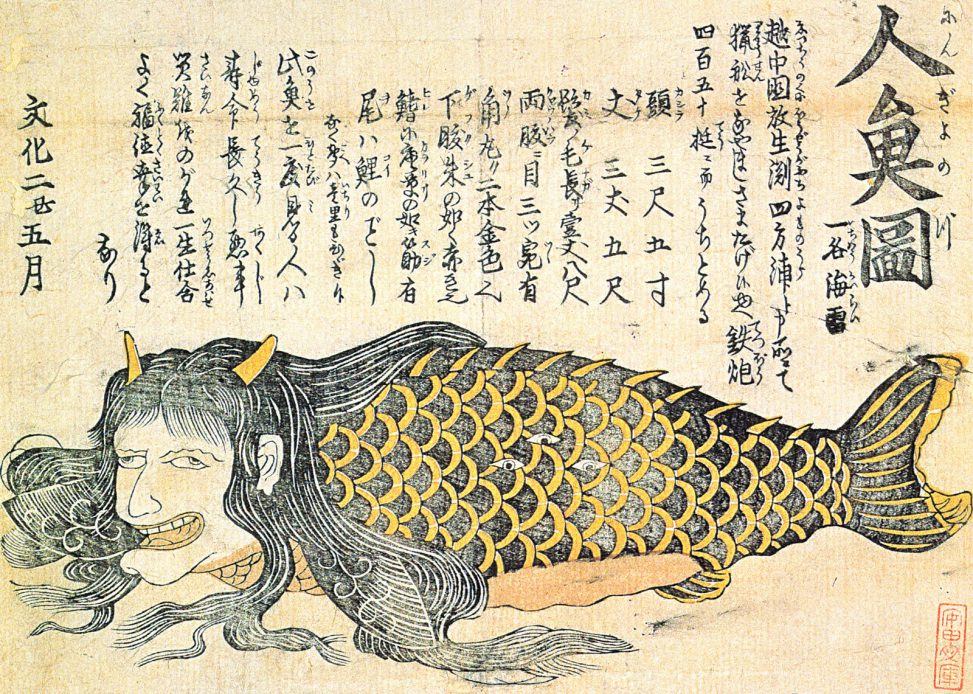 神社姫って、文化2年越中放生渕に現れた人魚と類縁なのでは……。 