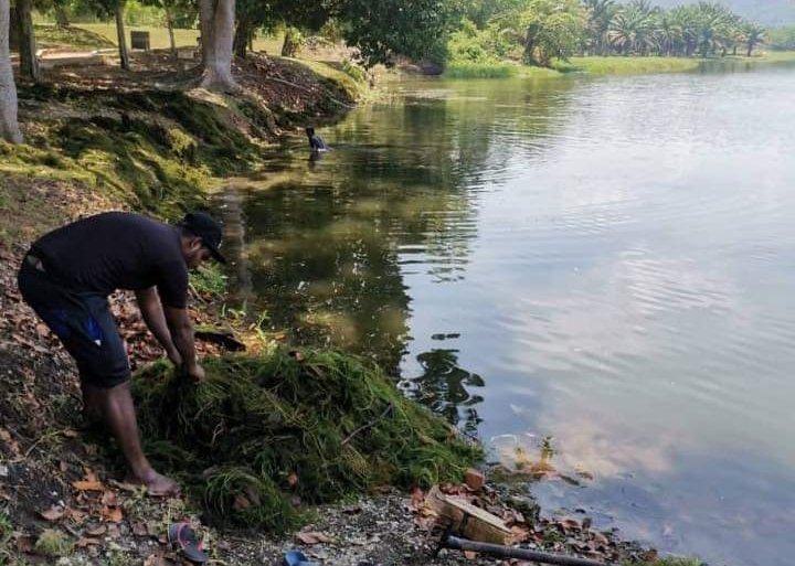 joranpancing's tweet photo. Atas dasar keprihatinan terhadap komen-komen kaki pancing, pihak penaja, Igloo Malaysia telah mengambil inisiatif melakukan kerja-kerja pembersihan lumut yang terdapat di Tasik YDP, Slim River. https://t.co/5E1dVH5tXQ