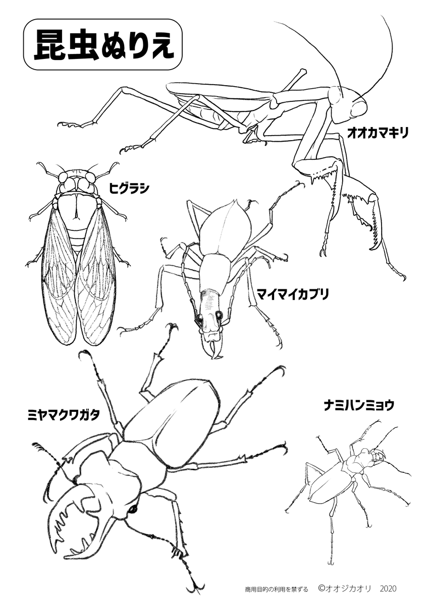 【印刷可能】 昆虫 ぬりえ