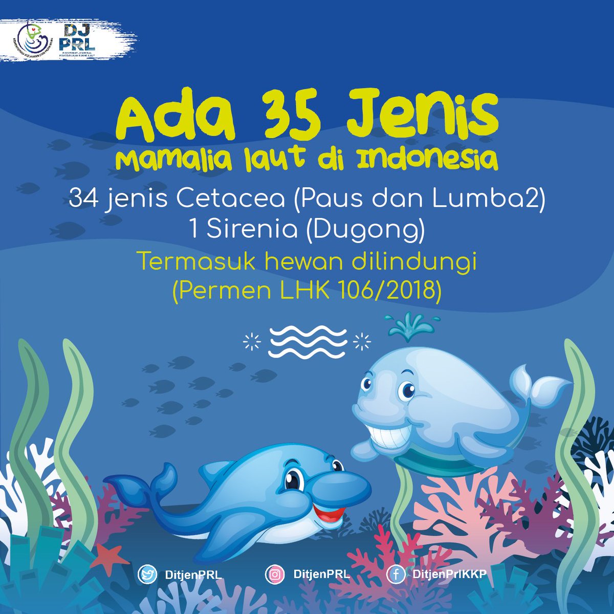 Hidup di laut tapi bukan ikan? 
Satu lagi funfact dari kita.

Laut memiliki keanekagaraman hayati yang tinggi, termasuk di dalamnya mamalia laut.Ada lumba-lumba, paus, sampai dugong.

Nah! Kenapa disebut mamalia laut?

@Edhy_Prabowo <a href="/kkpgoid/">KKP RI</a>