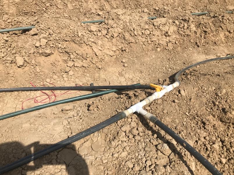 FBLN_media's tweet photo. Drip irrigation systems can play a role in spate irrigation systems. In this case in Pakistan water from ponds which are filled during th flooding season is used to irrigate vegetables. #FBLN #Pakistan is supporting this initiative. https://t.co/StRCAa0SwQ