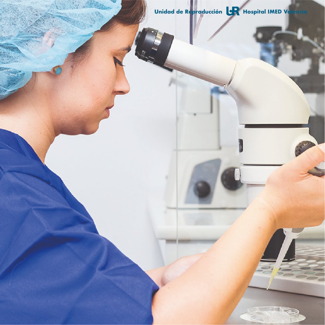 urimedvalencia's tweet photo. En UR IMED Valencia queremos ofrecerte el mejor servicio para tu tratamiento. Por eso, optamos por la tecnología de vanguardia.

#Fertilidad #Embriología #PreservaciónFertilidadFemenina #ReproducciónAsistida #imed #mujeres #mujer #embarazo https://t.co/1SV6177vJV