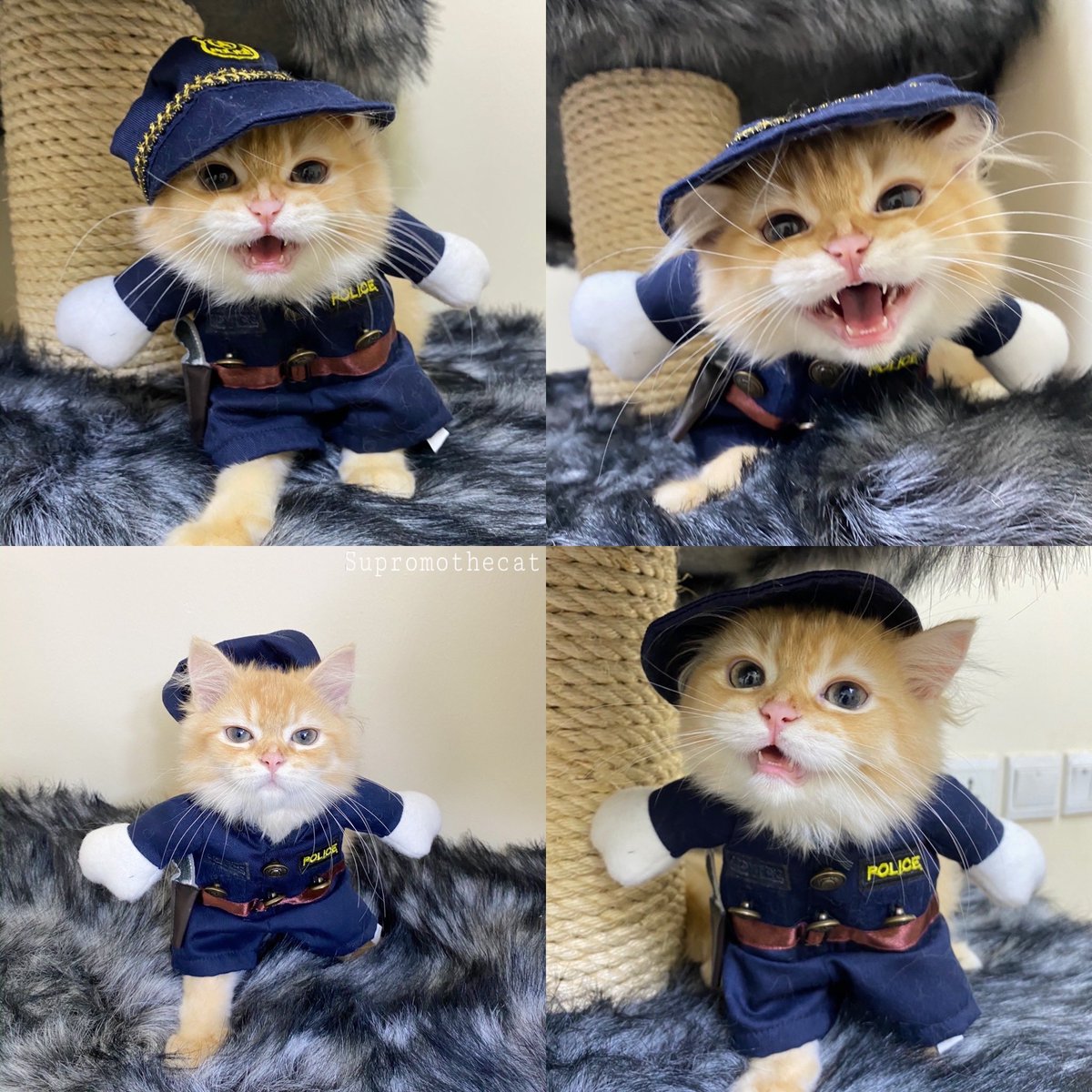 supromothecat1's tweet photo. You're under arrest! https://t.co/muS8XyQMMn