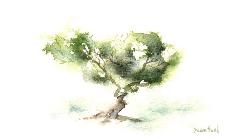 ArtistSeanSeal's tweet photo. 2131 #ZenTree #LittleWatercolorTrees https://t.co/F82blGkyse