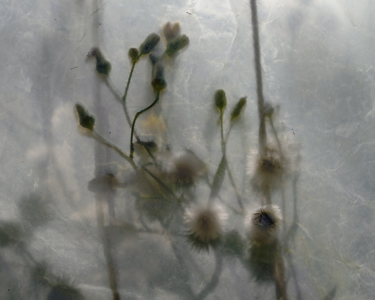 The March newsletter is here. Exhibitions, workshops, publications - read the latest news from MAPS :
mailchi.mp/4a927a3e0ef7/m…

Photo by Matthieu Gafsou / MAPS