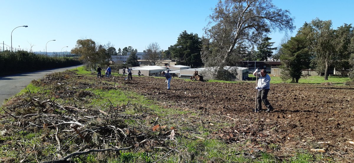 Nell'Area della #Ricerca di #Roma 1 a #Montelibretti piantiamo #alberi per aderire alla campagna #Milluminodimeno. #piantiamola #6marzo #caterpillarradiodue @RaiRadio2 @RaiNews @caterpillarrai @CaterpillarAM