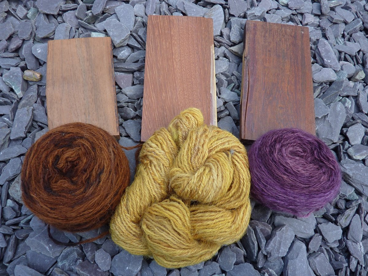 Woody plants can be a great source of natural colour, Pat Denne, Gwynedd Guild shares her work using these materials. Shown here is wool dyed from timber chips mordanted with alum – walnut (left) old fustic (centre) logwood (right).Edition 273 is out now.