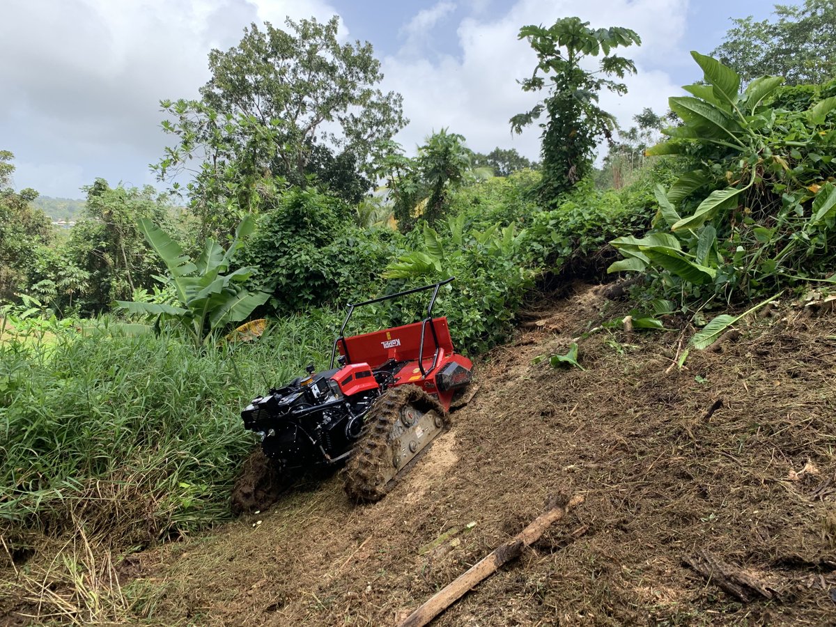 Köppl GmbH (@koeppl_gmbh) on Twitter photo Unser CRAWLER im Einsatz auf der Karibikinsel Martinique... <a href="/Koeppl_GmbH/">Köppl GmbH</a> #koeppl #martinique #Frankreich #karibik #carribean #remote #remoteworking #caterpillar #forst #forestry #mulchen #forstmulcher Unser CRAWLER im Einsatz auf der Karibikinsel Martinique... <a href="/Koeppl_GmbH/">Köppl GmbH</a> #koeppl #martinique #Frankreich #karibik #carribean #remote #remoteworking #caterpillar #forst #forestry #mulchen #forstmulcher