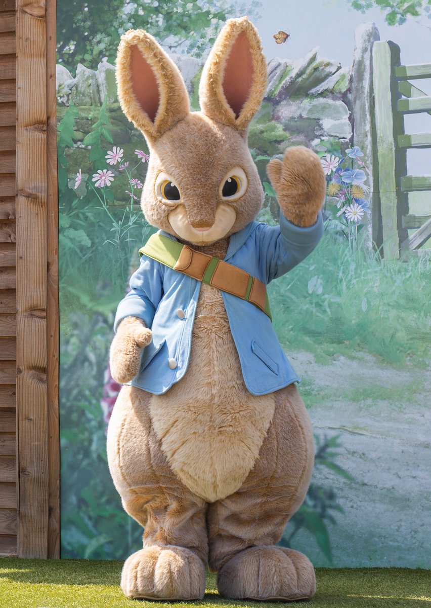 Willows ActivityFarm tweet media