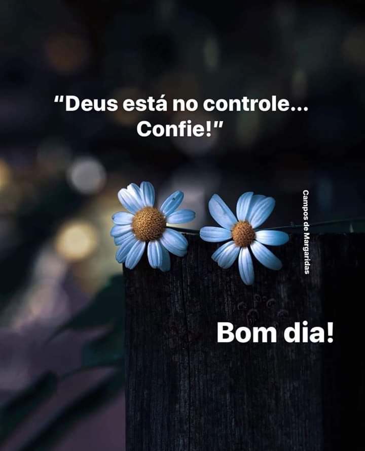 Luciana Castro on Twitter: Luciana Castro on Twitter: