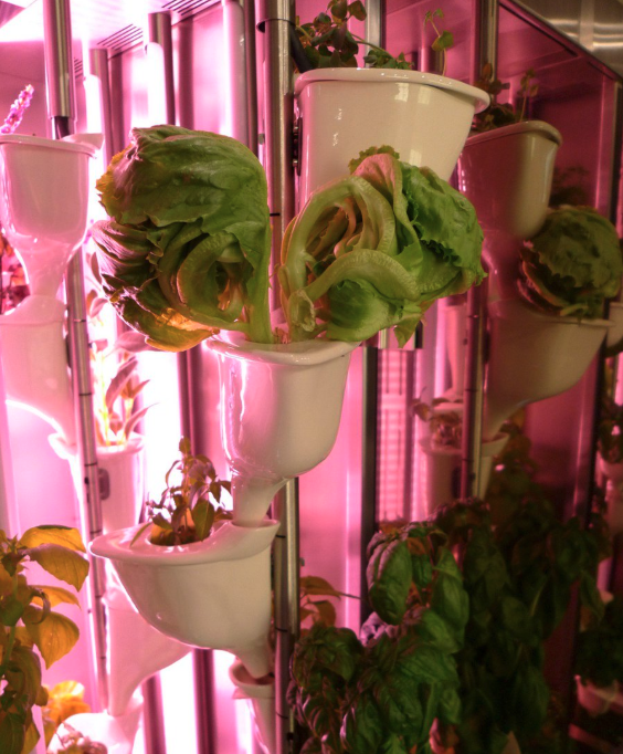 kbbdaily's tweet image. Congratulations to @WirquinLtd and @NATUFIA_Labs - winners of #KBB2020's Innovation Award and People's Choice Award, respectively!

Find out more about the awards in our Day Three round-up: kbbdaily.com/features/kbb-b…