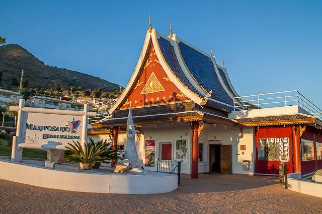 Buenos Días, desde #ElMariposariodeBenalmádena en #BenalmádenaPueblo!
#Mariposas #Butterfly
Good Morning to all from #TheButterflyPark in #BenalmádenaPueblo!