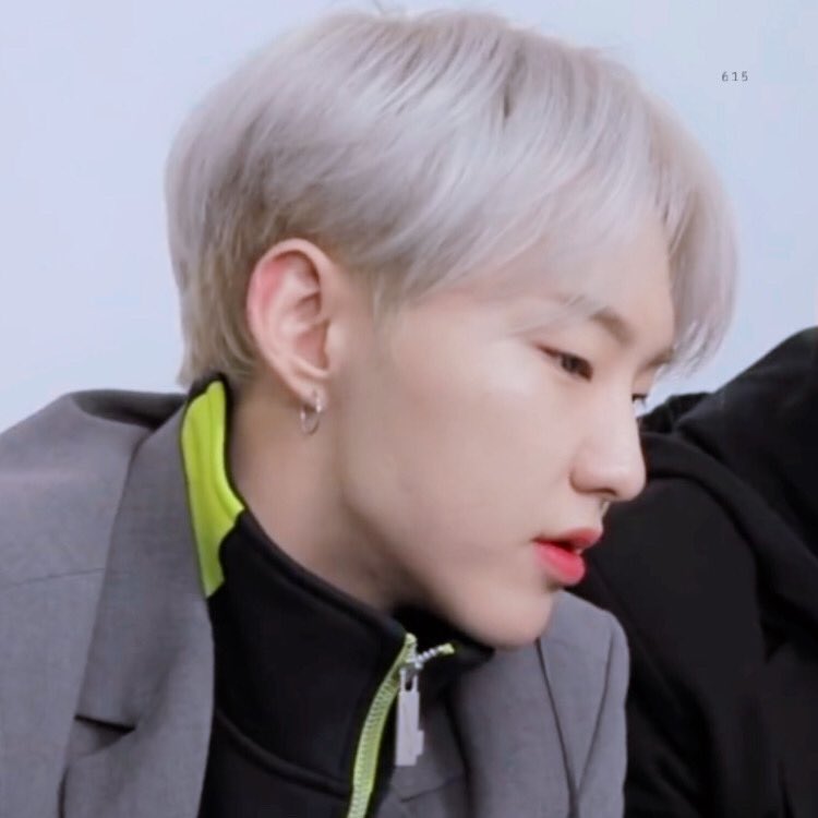 Seventeen pledis plastic surgery