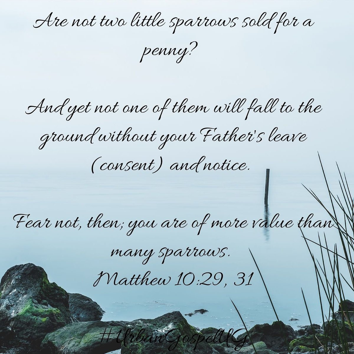 TUGfellowship's tweet photo. #VerseTwo of #twentyone verses.
@djvictor256 , you are of more value than many sparrows. https://t.co/8TgWlnTi9v