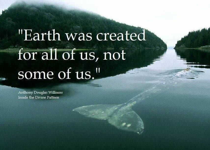 Gladstone Connect (@connectglad) on Twitter photo And we're each responsible for our own actions. Tread lightly #WednesdayThoughts #ClimateAction #PboroMarchForth And we're each responsible for our own actions. Tread lightly #WednesdayThoughts #ClimateAction #PboroMarchForth