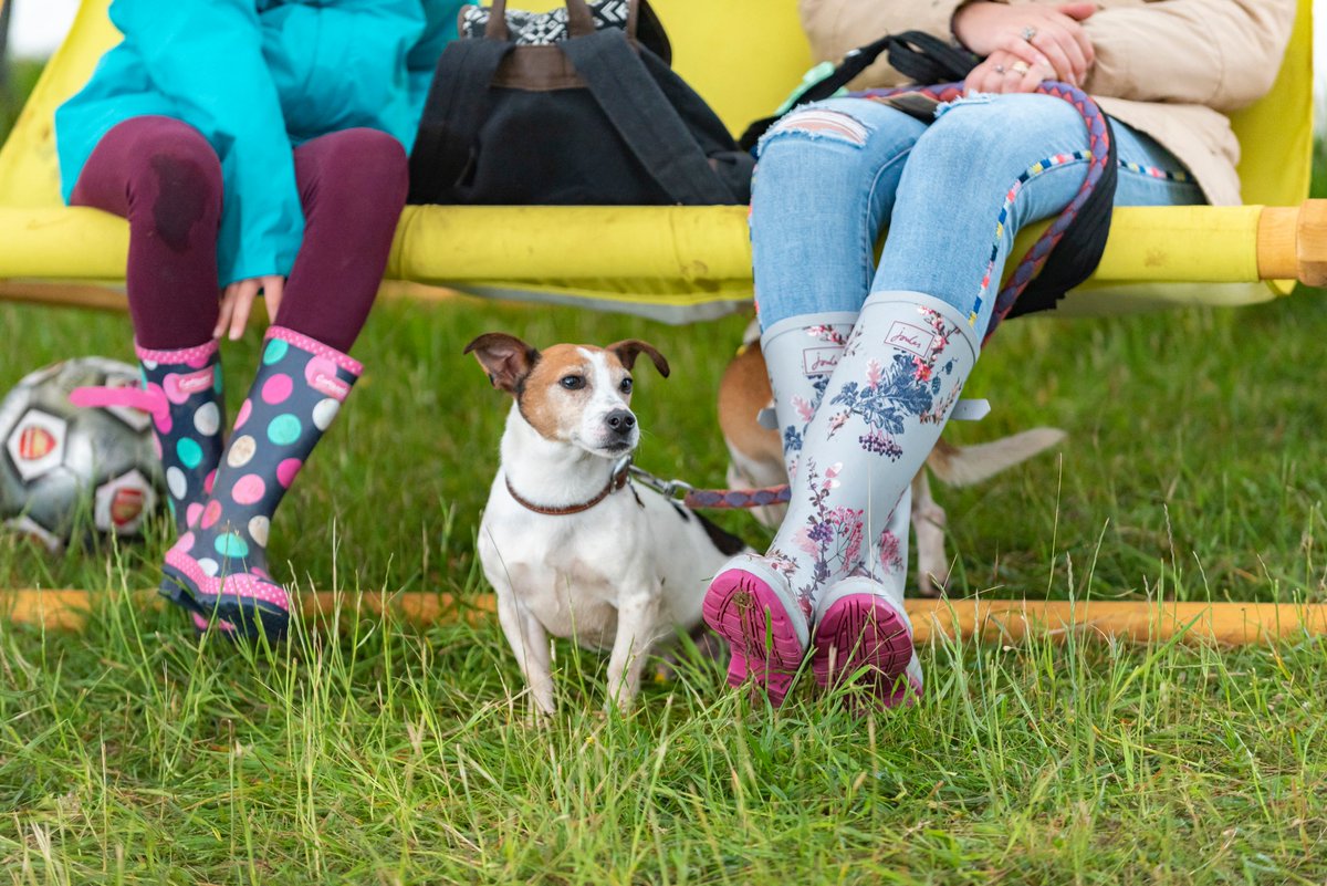 NTClumberPark's tweet photo. Bring the family along to our fun-filled dog show on the 15th March. Categories include best paw shaker, most handsome dog and best fancy dress; £1 per dog, per category. Registration opens at 10am at Central Bark. https://t.co/sqMZb4IQb0 https://t.co/YFiTJ5Gynm